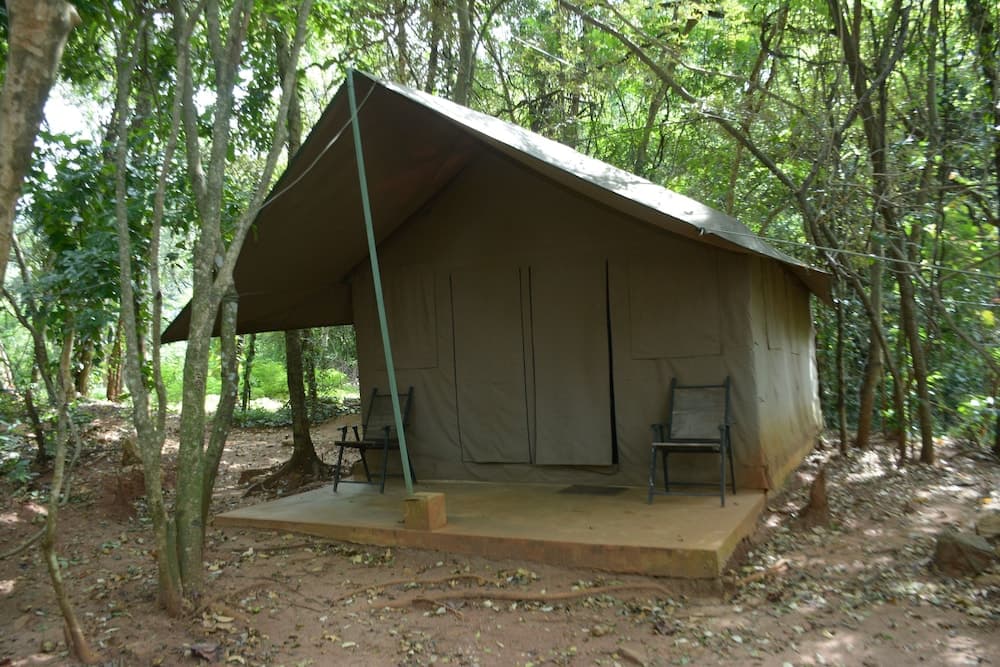 Ella Jungle Inn