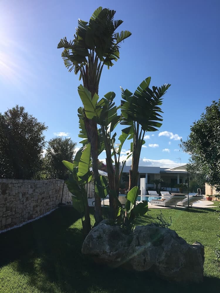 Carone Suite Charme&Pool