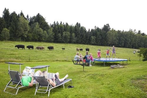 Riedlerhof