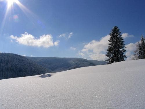 Ferienwohnung am Eisweiher