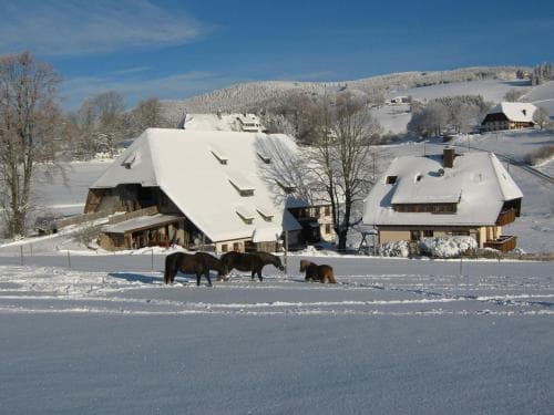 Disselhof