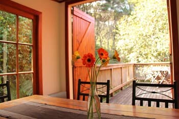 The Coromandel Treehouse