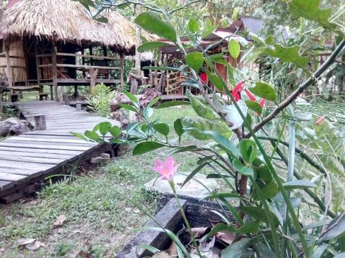 Casa Bambutan