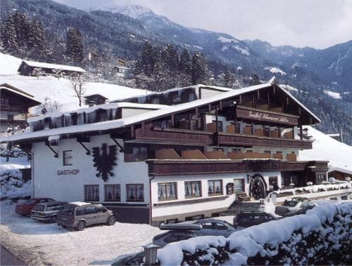 Schwarzer Adler