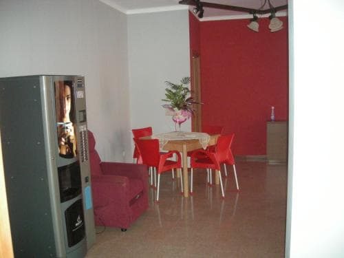 B&B Banny 8