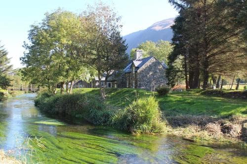 Granar Gynolwyn