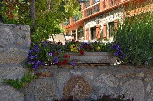 Hostal Almanzor