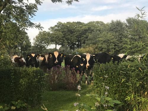 De Olde Veld Hoeve