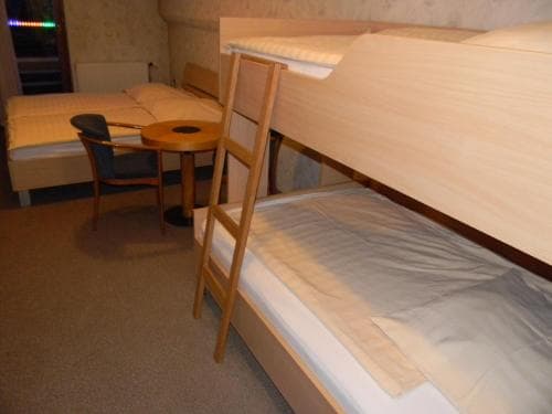 Hotel Krona Domzale