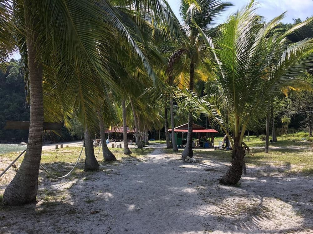 Wild Pasir Panjang