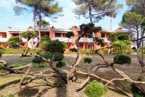 Villaggio White Star