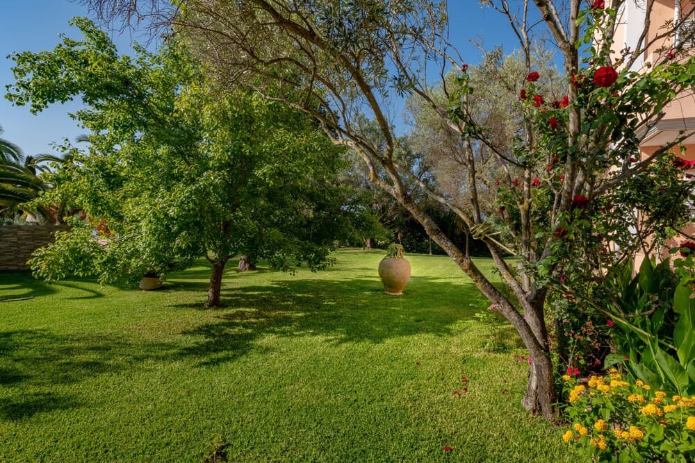 Helena s Studios