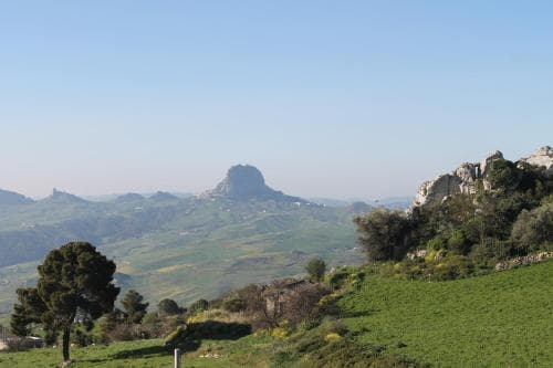 Bed & Breakfast Padalino