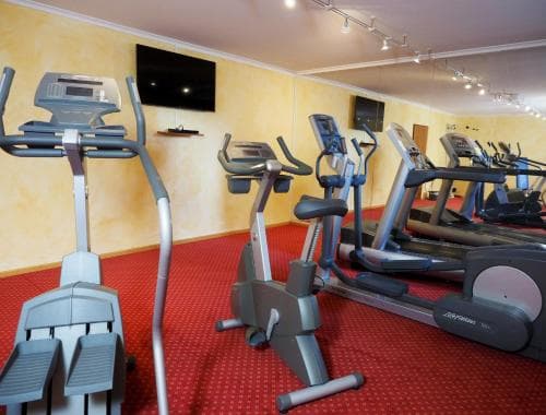 A cozy indoor fitness center features various cardio machines like treadmills and ellipticals on a red carpeted floor, ideal for travelers seeking exercise during their stay.