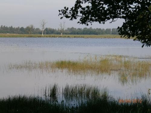 Restinn Emmen