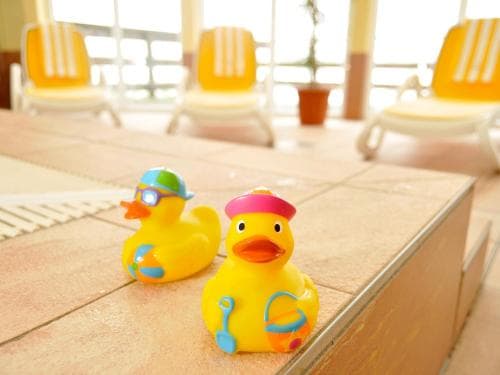 Pension Zum Riedensee