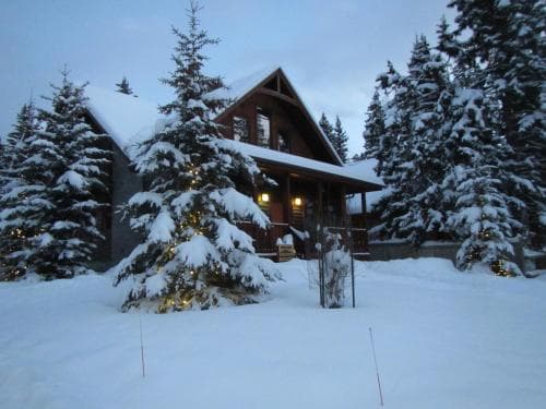 Banff Bear Bed And Breakfast