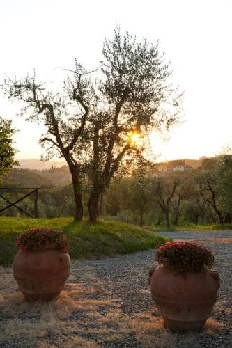 Agriturismo Cignan Rosso