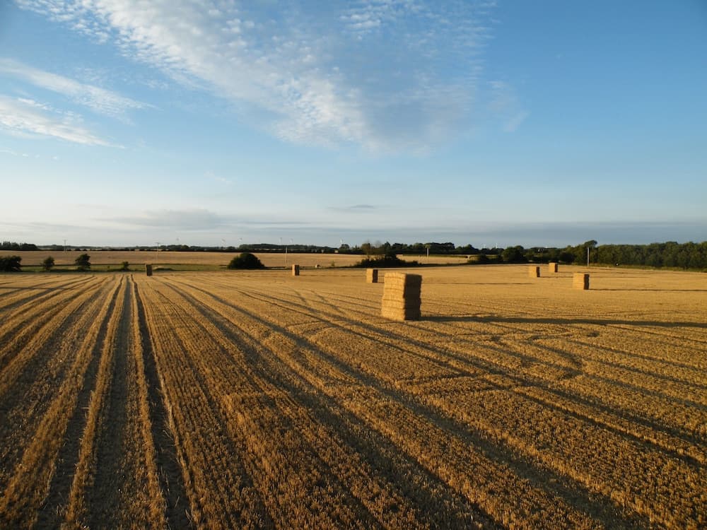 Highfield Farm