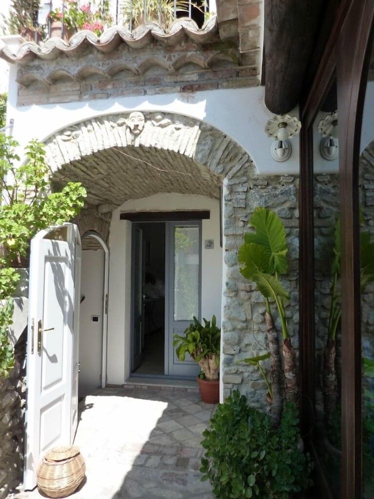 B&B Amphisya