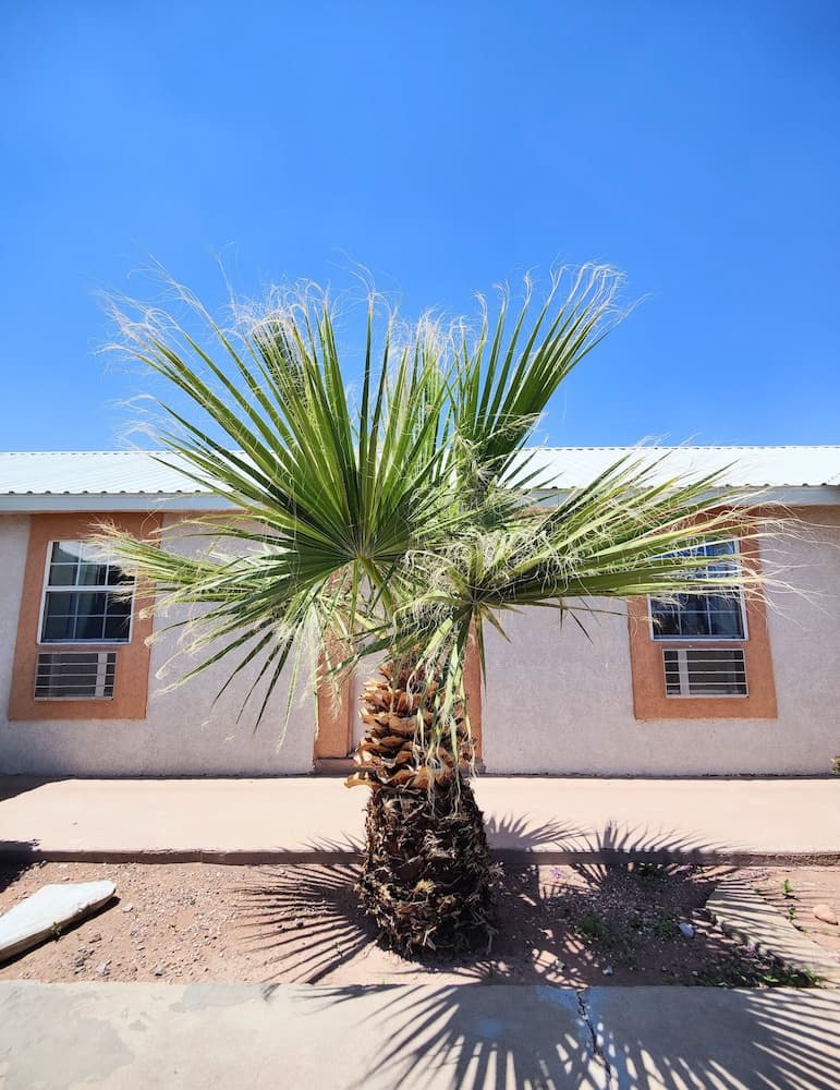 Desert Inn