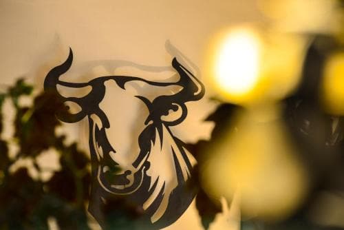La Ferme De Flaran