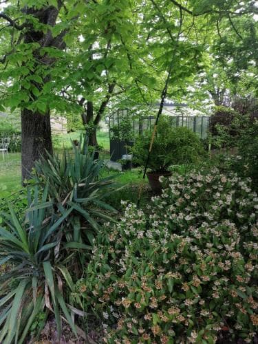 Corte Di Maggio B&B