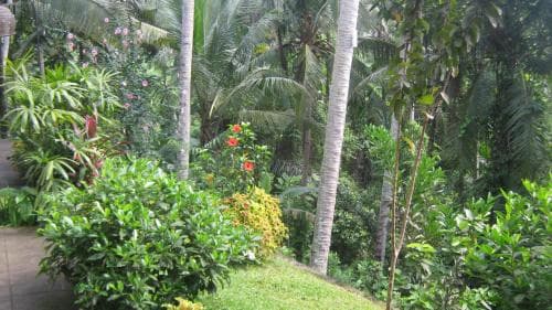 Mahanadewi Villa