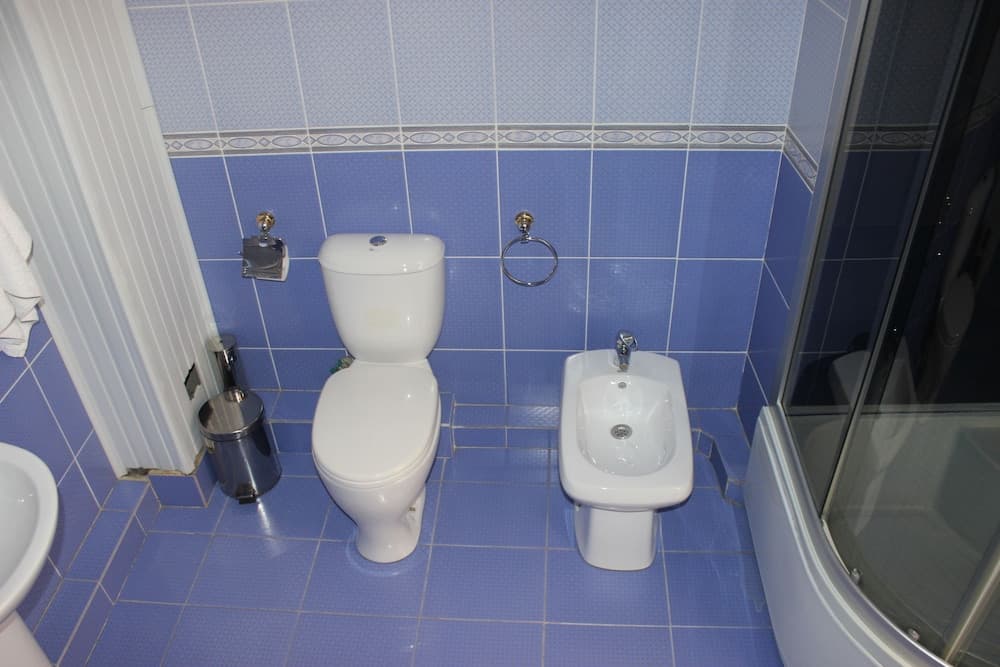 Hotel Sarvar