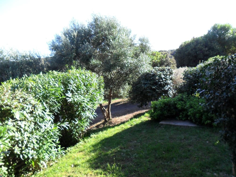 Casa Martini