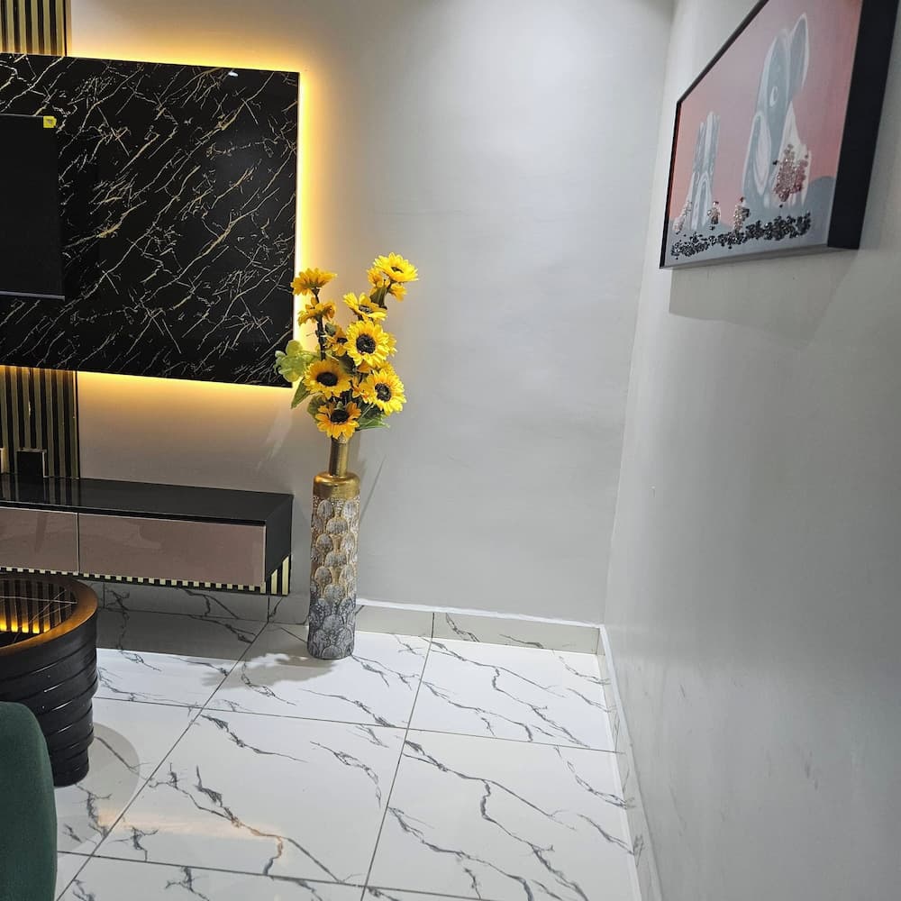 Anibex luxe apartment & apartment