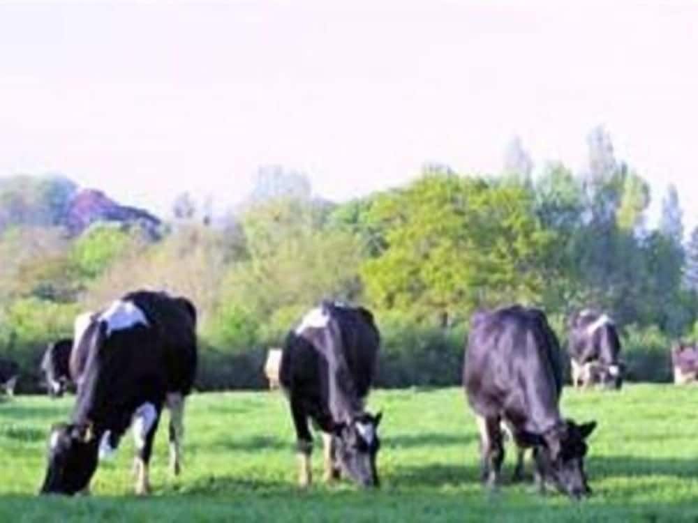 Canonsgrove Farm