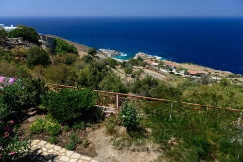 A serene coastal landscape features lush greenery, vibrant flowers, and a stone pathway overlooking the deep blue sea, ideal for tranquil seaside retreats and nature photography.