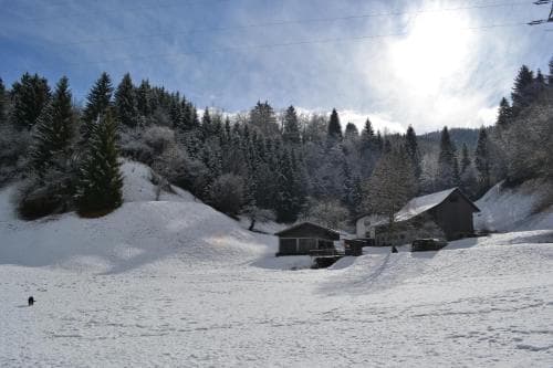 Pension Waldrast