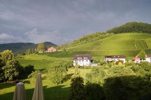 Schwarzwälder Hof