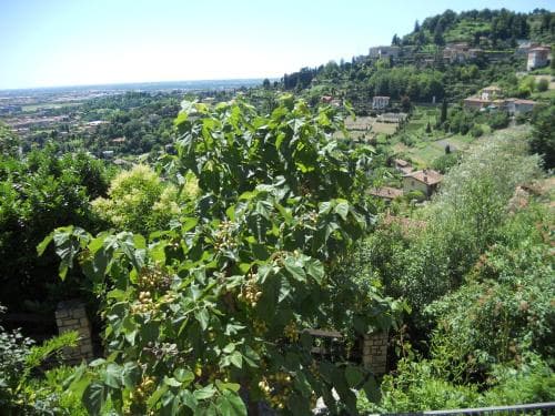 A Casa Mia - Bed & Breakfast