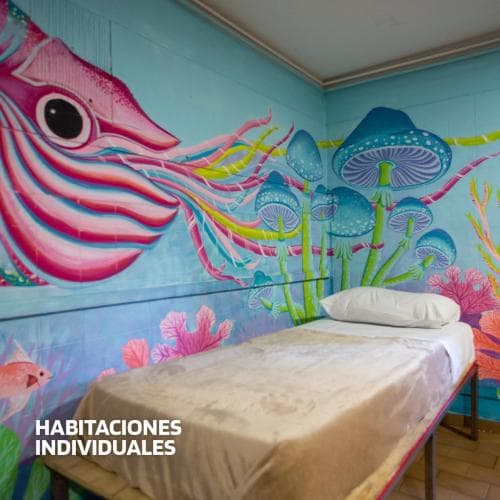 Greengo Hostel