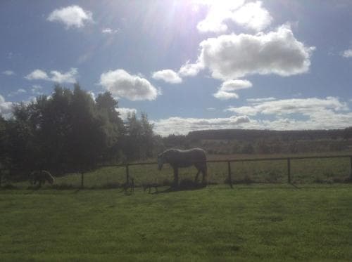 Bonners Lodge