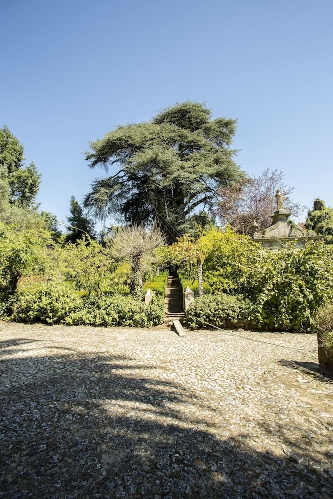 Quinta De S. Caetano