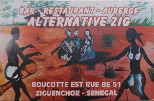 Alternative Zig