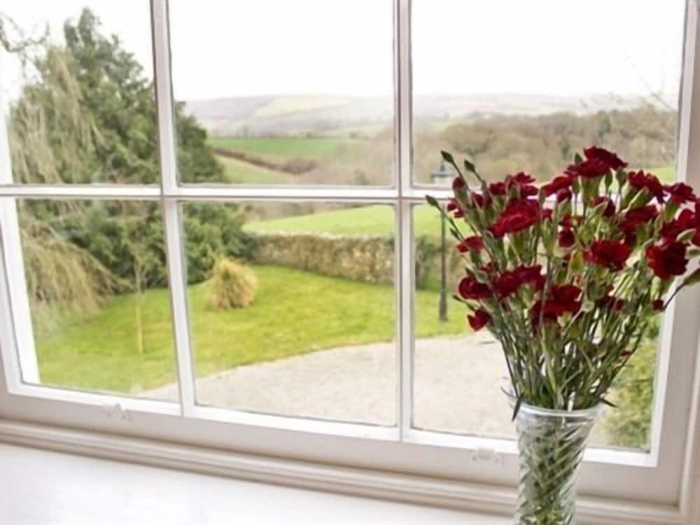 A serene countryside vista framed by a window is complemented by a vase of vibrant red flowers on the windowsill, ideal for travelers seeking tranquil rural retreats.