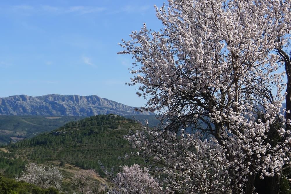 Gite Saint Roch