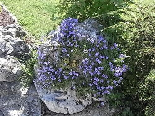 B&B VIlla Lisetta
