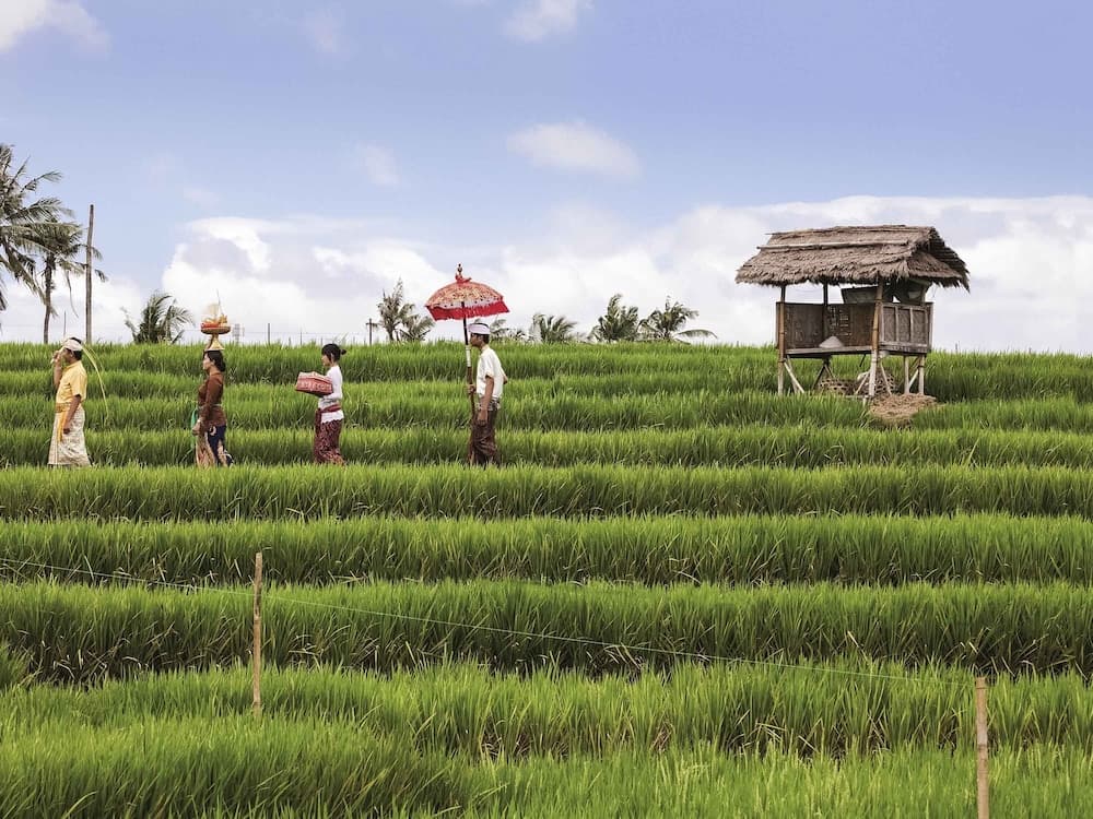 Pop Hotel Teuku Umar