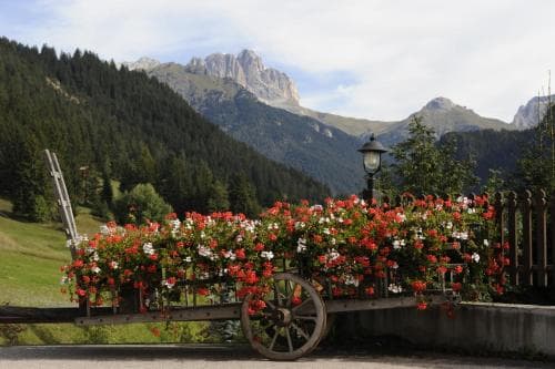 Alpine Touring Hotel