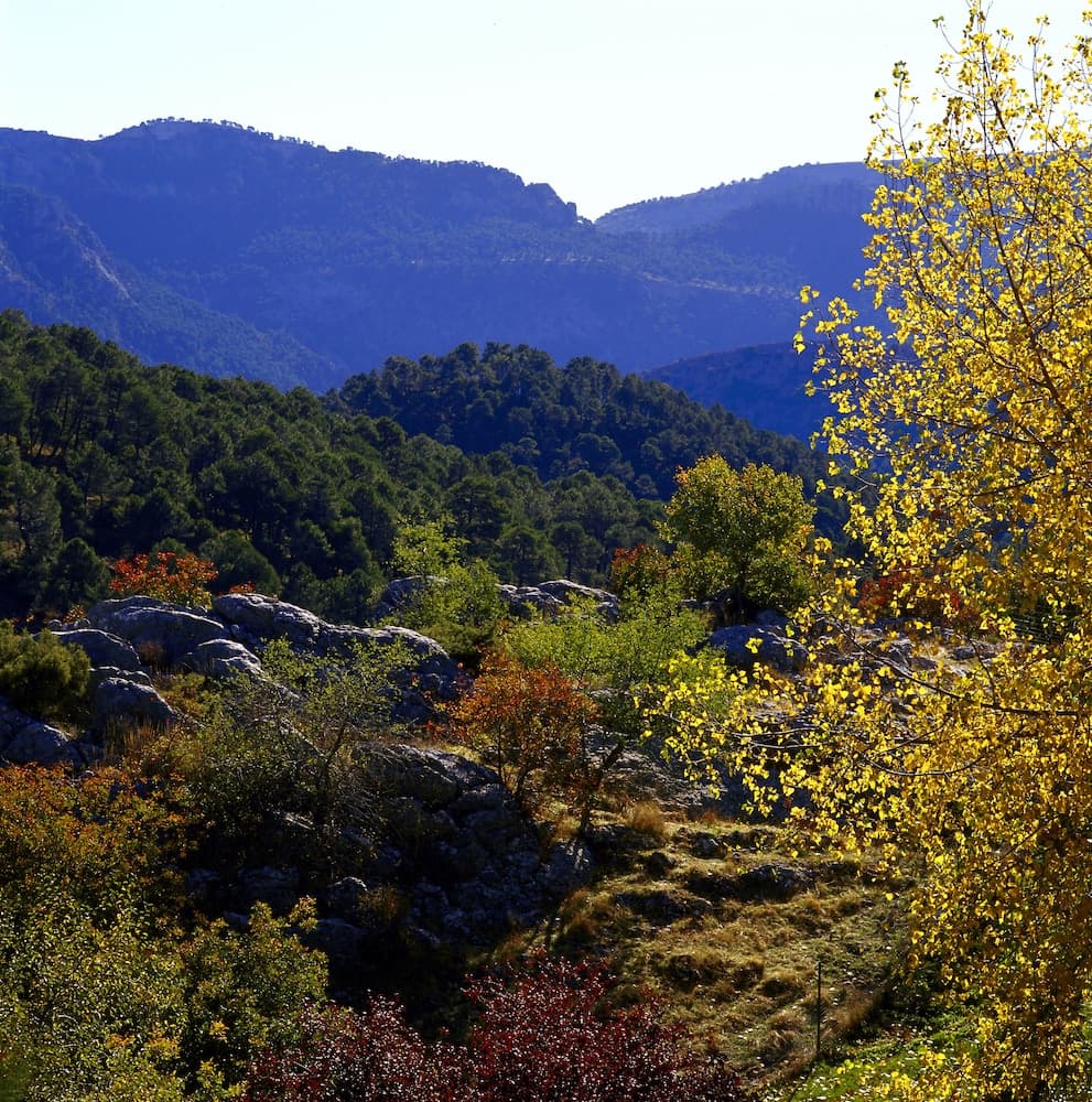 Parador De Cazorla