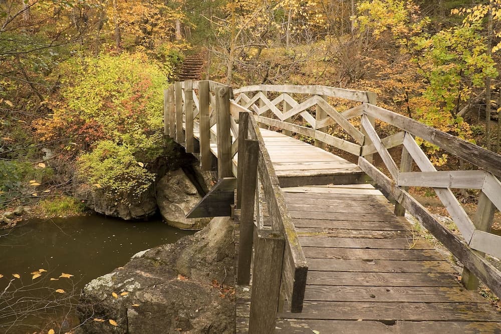 A serene wooden bridge spans over a tranquil stream surrounded by autumn foliage, ideal for nature photography and peaceful hiking excursions.