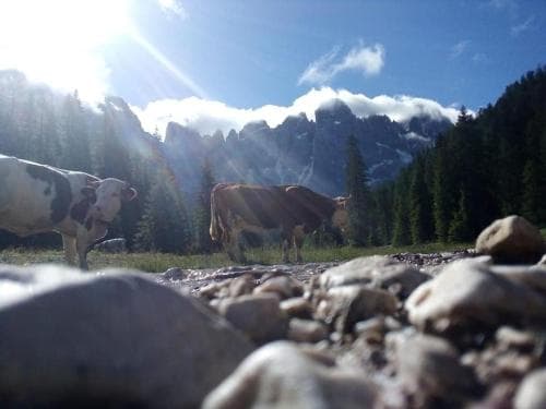 Rifugio Caltena