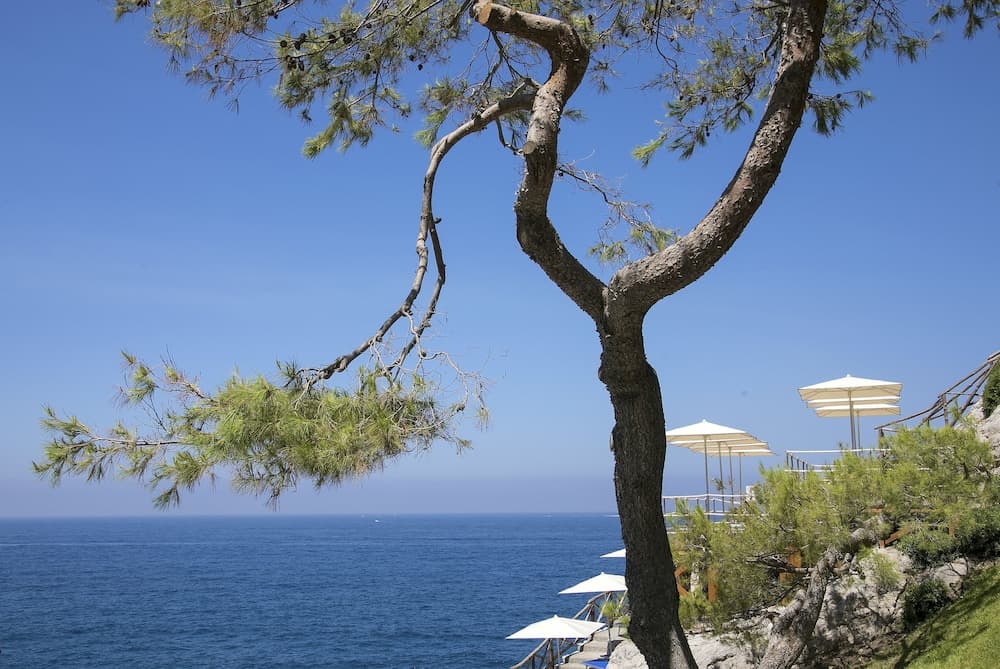 Hotel Delfino