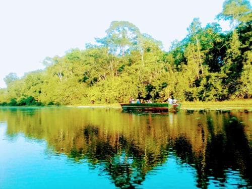 A serene river cruise through lush greenery offers travelers a tranquil escape, with calm waters reflecting the vibrant forest canopy, ideal for nature lovers seeking relaxation and scenic beauty.